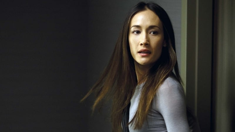 Nikita - Maggie Q kicks butt