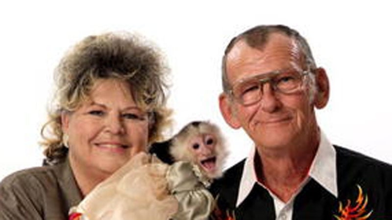 Jessy the monkey had her teeth removed