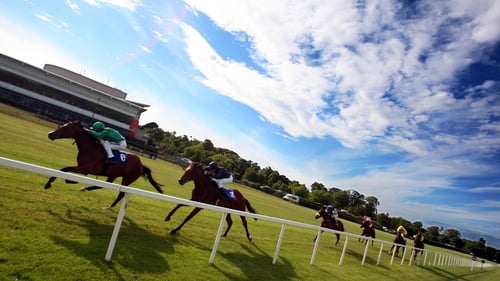 Leopardstown racing will go ahead this Friday