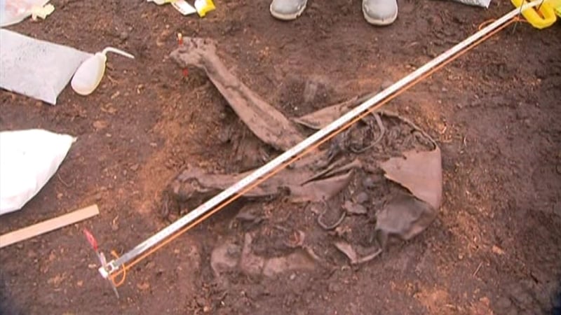 Tests will be carried out to determine the age and gender of the body