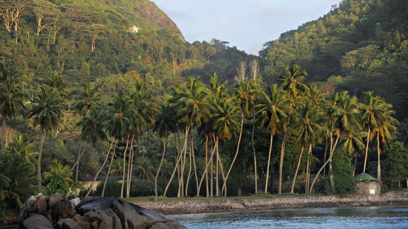 Seychelles - Second fatal shark attack reported