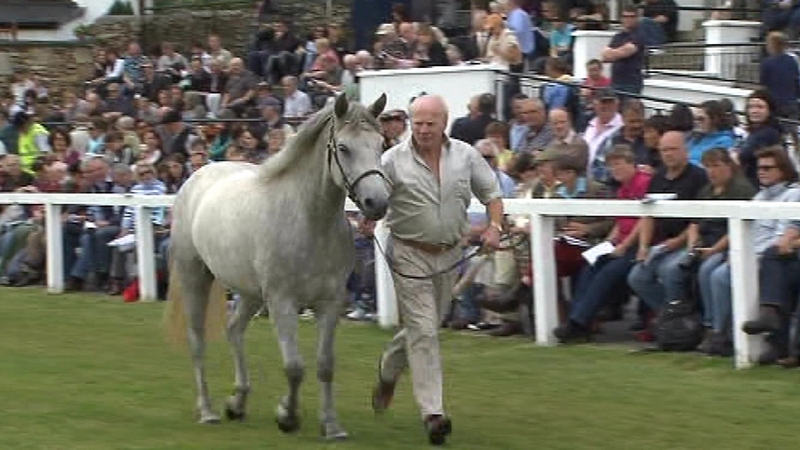 Connemara - Breeders from Australia among those attending