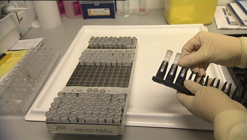 The drug interacts with brain regions that control appetite and energy intake