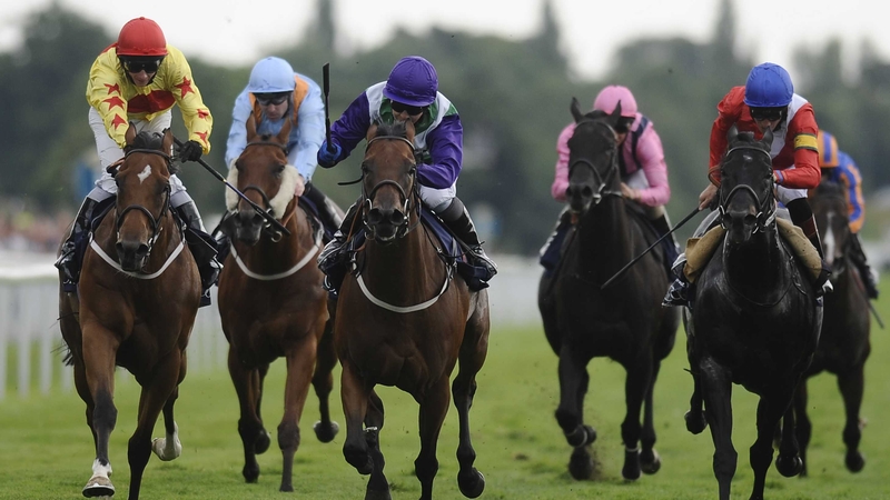 Hayley Turner on Margot Did (third from left in purple) goes on to win the Nunthorpe