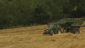 Harvest 2025 show image