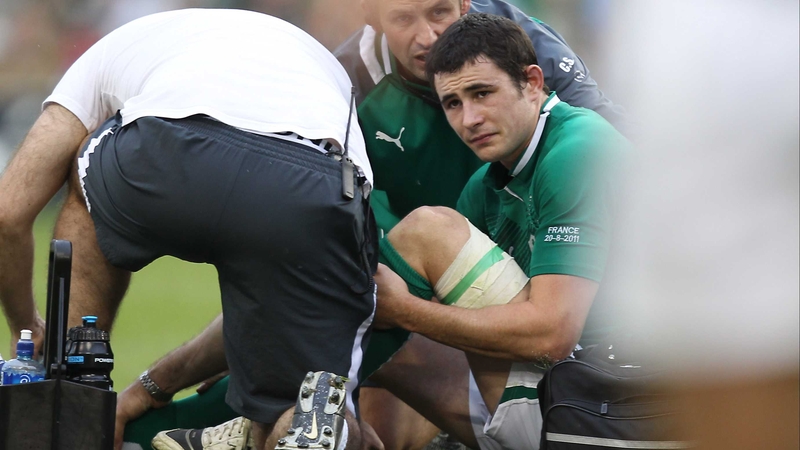 Felix Jones is attended to by the Ireland physios on the Aviva Stadium pitch