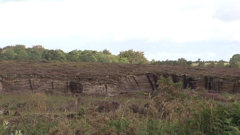 Documents were discovered on a roadside in the bog