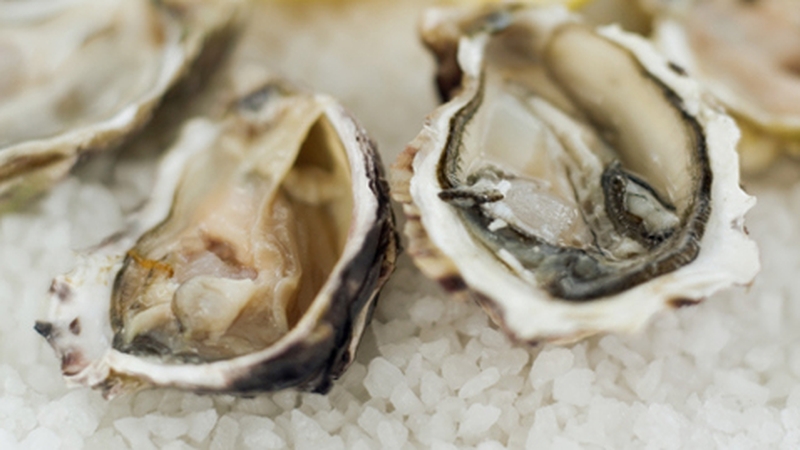 Neven Maguire's Study of Shellfish