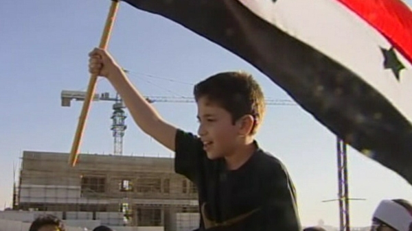 Syria has criticised the Arab League for its suspension