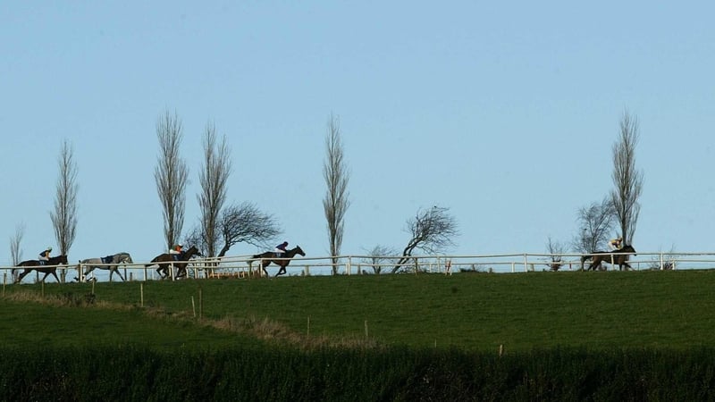 Clonmel racecourse