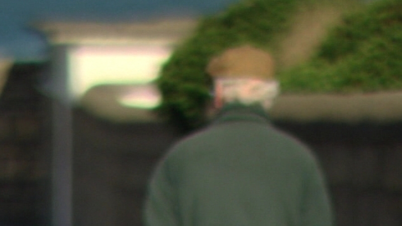 The report from the Central Statistics Office focused on the income of those aged 65 and over in 2004 and 2009