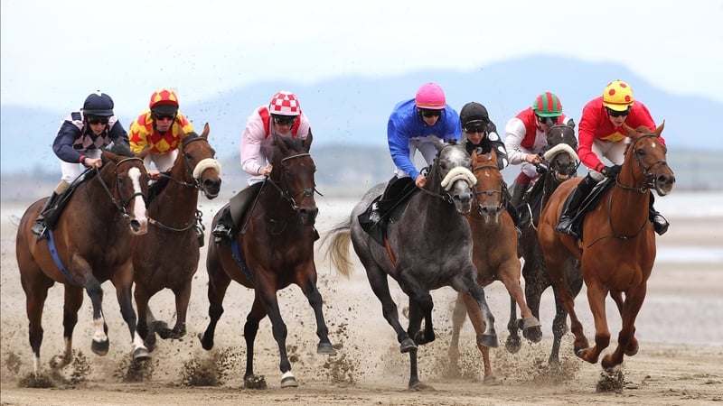 Laytown drew a huge crowd on a sunny September afternoon