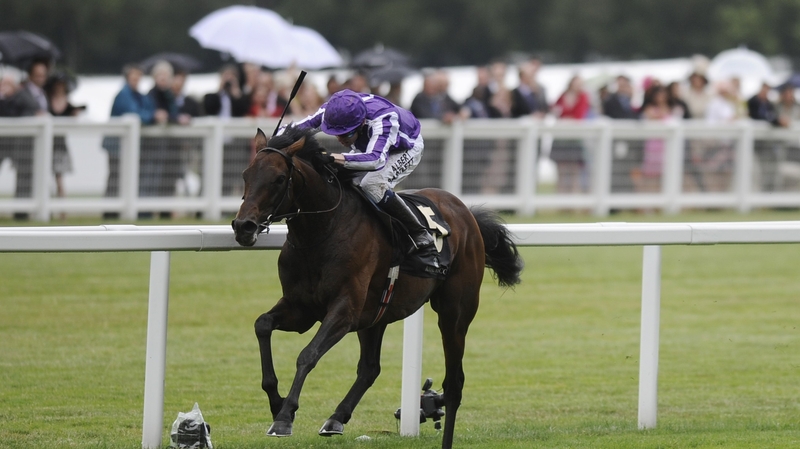 Fame And Glory looks set to go in the Ascot Gold Cup