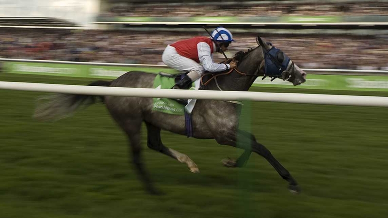 The progressive Jukebox Jury is a best-priced 33-1 for the race that stops a nation