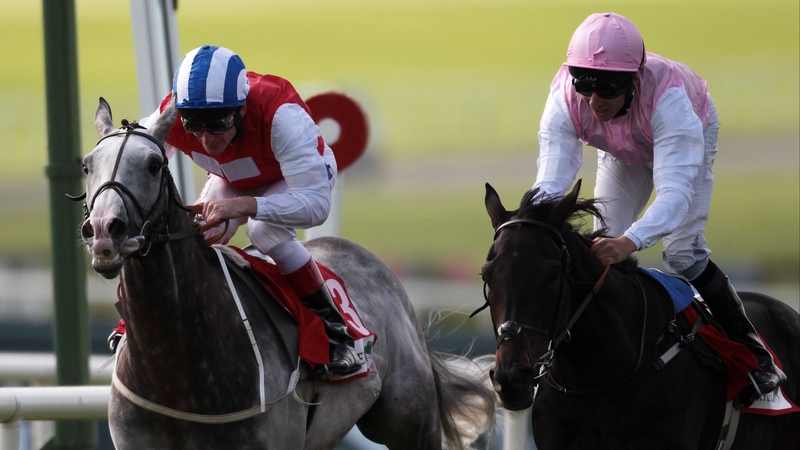 Jukebox Jury (left) and Duncan fought out a thrilling finish to last year's race which resulted in a dead heat