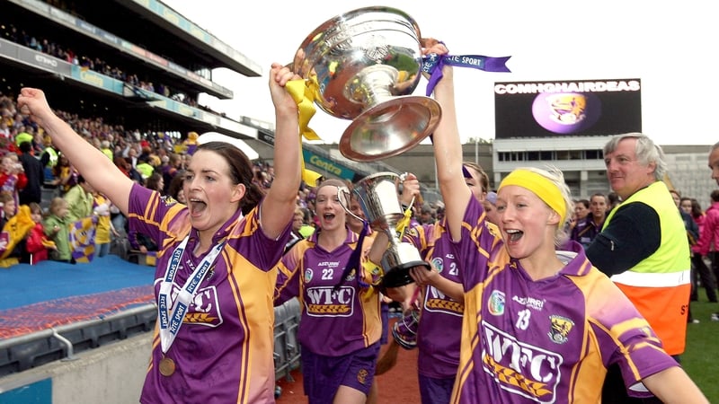 All-Ireland champions Wexford have received 13 nominations