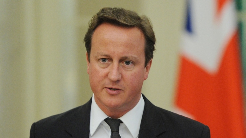 David Cameron says any new treaty must contain "British safeguards"