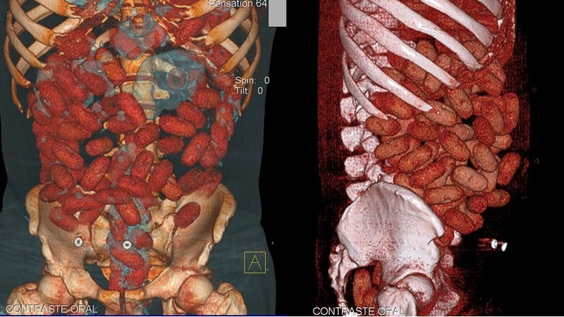 Police in Brazil released handout image