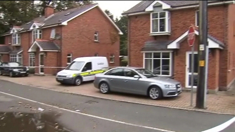 Gardaí sealed off the area for a technical examination