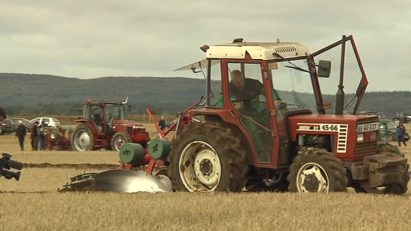 Study highlights economic benefit of the ploughing championships
