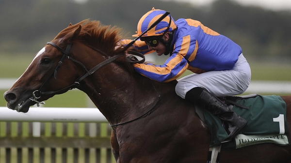 Royal Lodge winner Daddy Long Legs heads a list of nine for Saturday's Racing Post Trophy