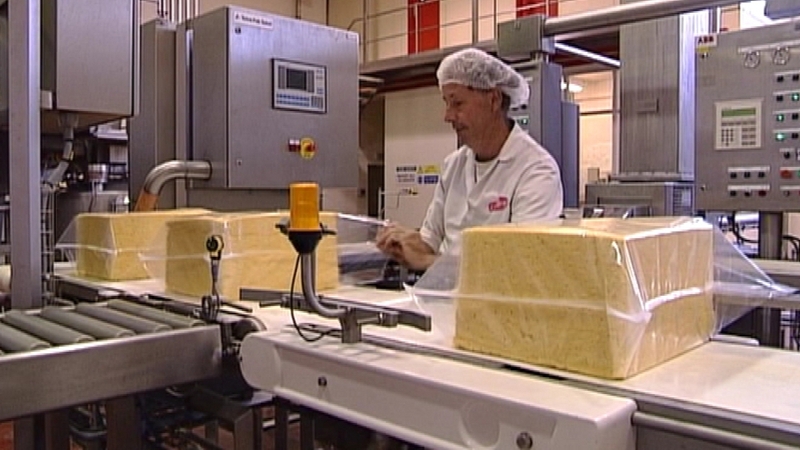 The BAI has suggested that cheese is as unhealthy as various junk foods