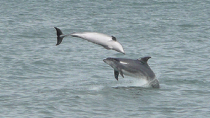 They stay to a core 33km area