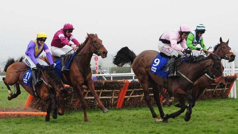 Oscars Well (9) would likely have been a Cheltenham winner but for this mistake at the last hurdle