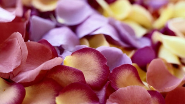 Rose Petal Sandwich