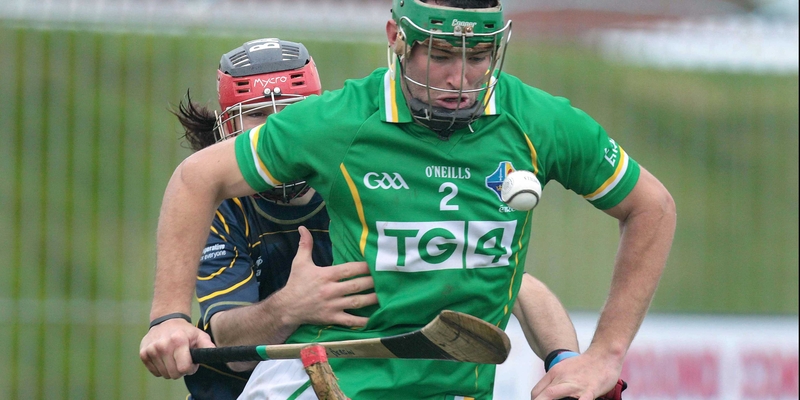 International series - Joe Bergin of Offaly was on target for Ireland