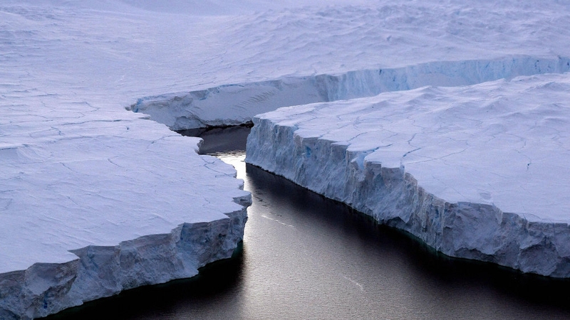 A team of 15 seals is to help British scientists sailing to Antarctica to investigate how melting glacier ice contributes to rising sea levels