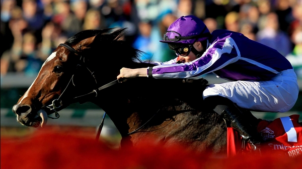 Joseph O'Brien gave his father's St Nicholas Abbey a brilliant ride to win the BC Turf