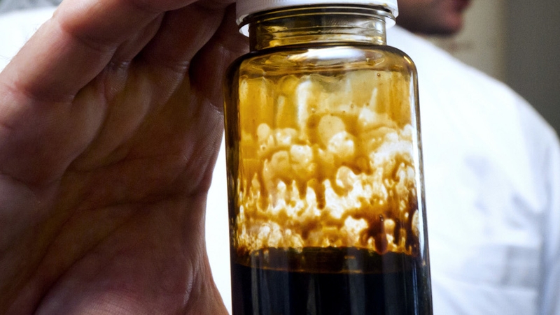 No commercial hydrocarbons found in second French Guiana well