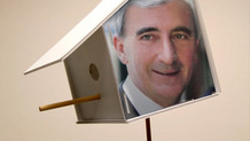 Birds set to get new homes this winter