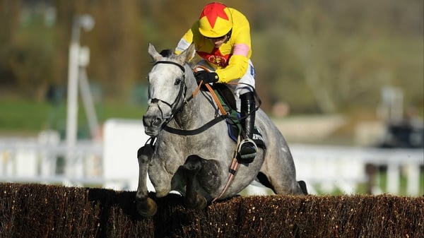 Al Ferof will miss the Cheltenham Festival