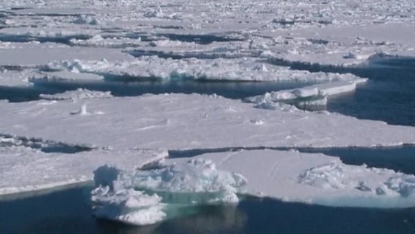 Arctic sea ice coverage remains below average