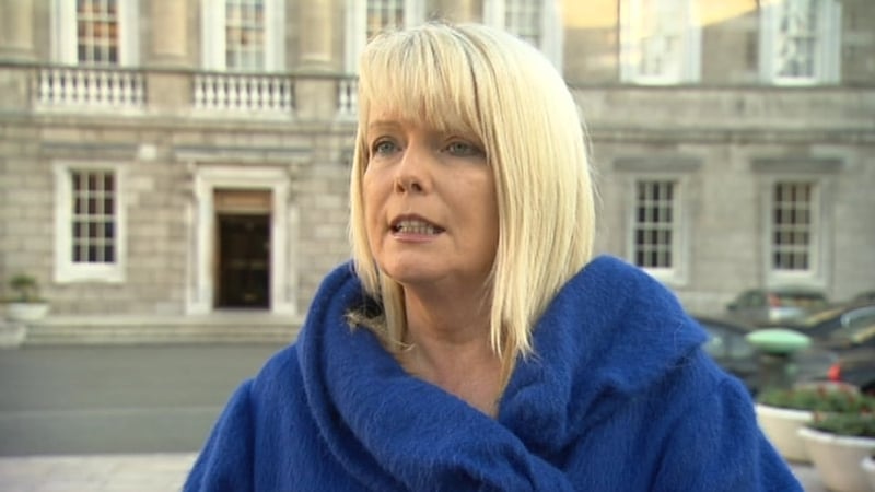 The USI said Ms Mitchell O'Connor made the comment while speaking to protesting DCU students outside Leinster House last week