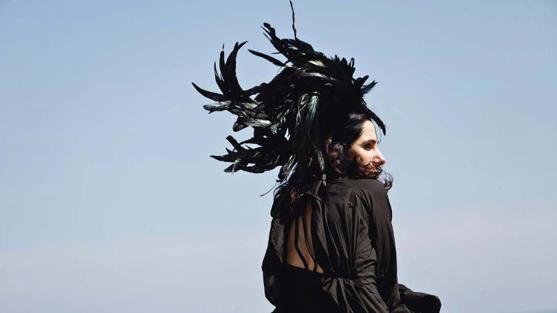 Polly Jean to return in 2016