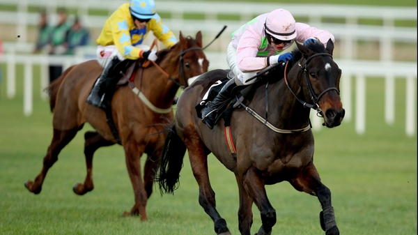 Blackstairmountain has won the Nakayama Grand Jump