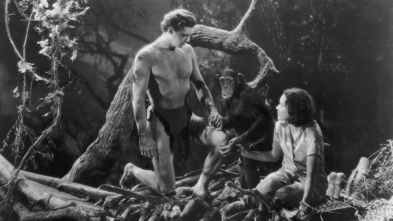 Cheeta: in jungle heaven with Johnny Weissmuller and Maureen O'Sullivan