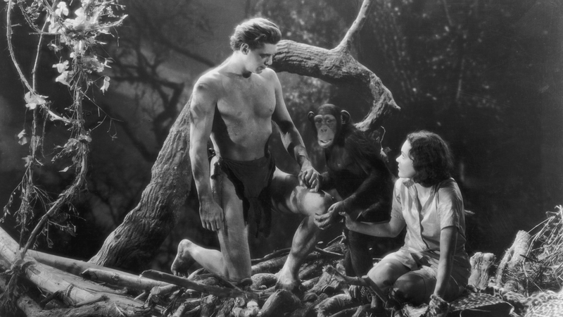 Cheetah pictured here with Johnny Weissmuller as Tarzan and Maureen O'Sullivan in 'Tarzan and His Mate'