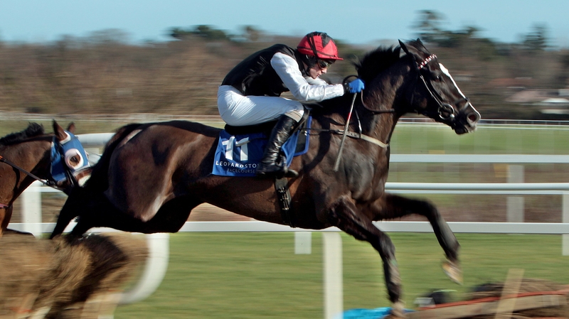 Unaccompanied will sidestep the Cheltenham Festival