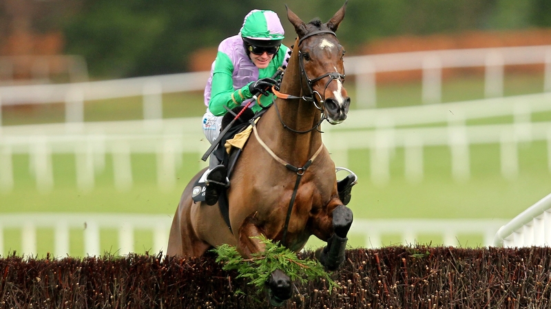 Hidden Cyclone finished second behind Benefficient