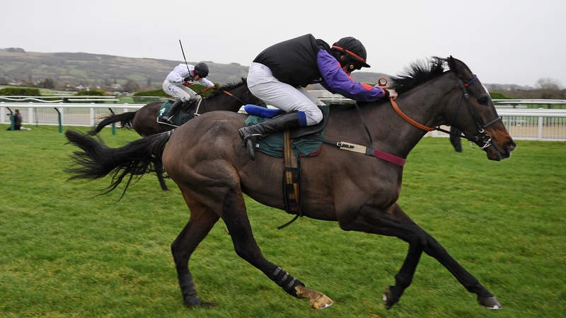 Champion Court disappointed in the Paddy Power Gold Cup