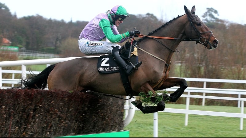 Hidden Cyclone was popular among racing fans