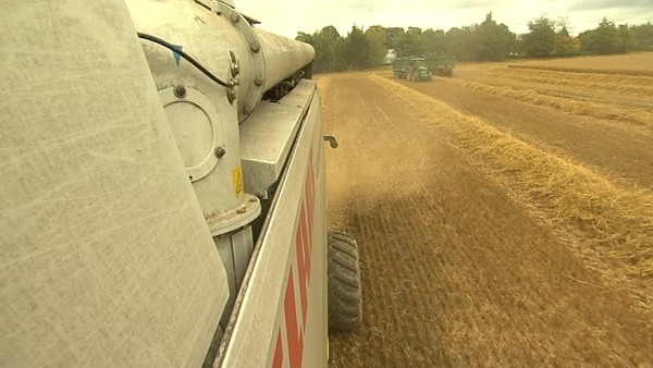 IFA would like an introduction of a code of conduct, or guidelines, on this issue