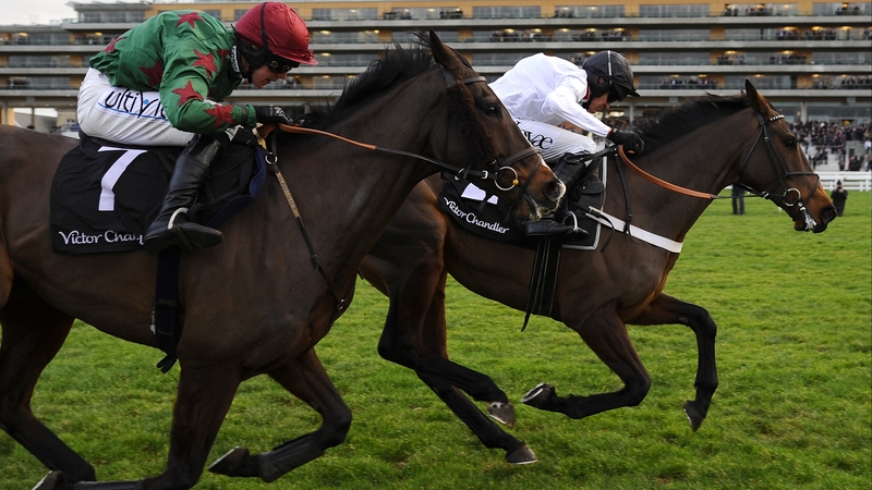 The tripless Somersby (near side) will face the mighty Sprinter Sacre in Wednesday's feature race at the Cheltenham Festival