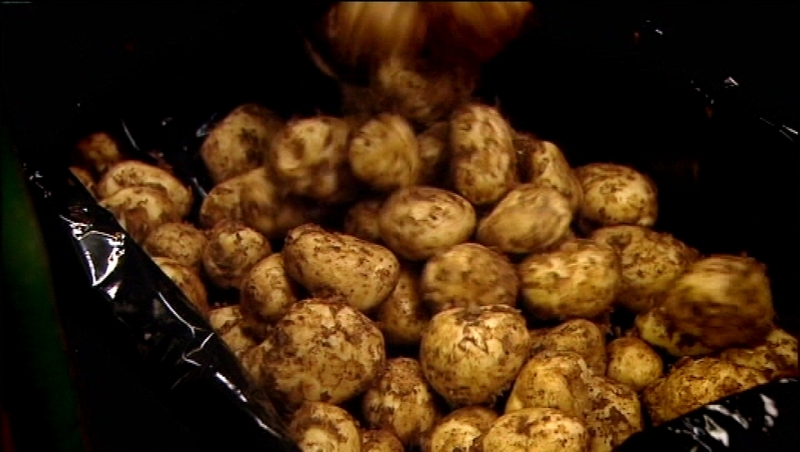 Donegal Investment Group said it was maintaining its total dividend at 16 cent per share