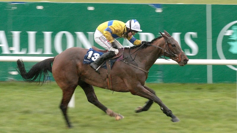 Burn And Turn's appearance at Cheltenham will her first run outside Ireland