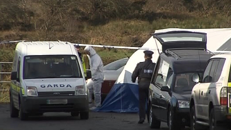 Gardai are investigating double shooting in Co Roscommon